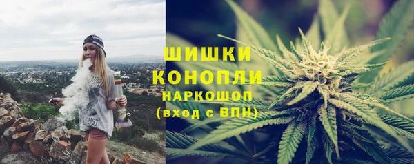 сатива Абинск