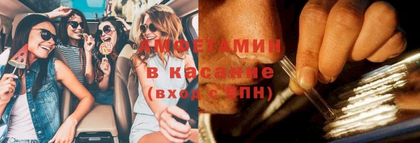 сатива Абинск