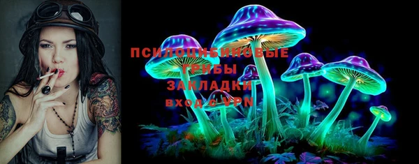сатива Абинск