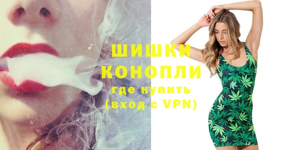 сатива Абинск