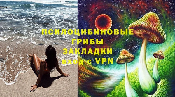 сатива Абинск