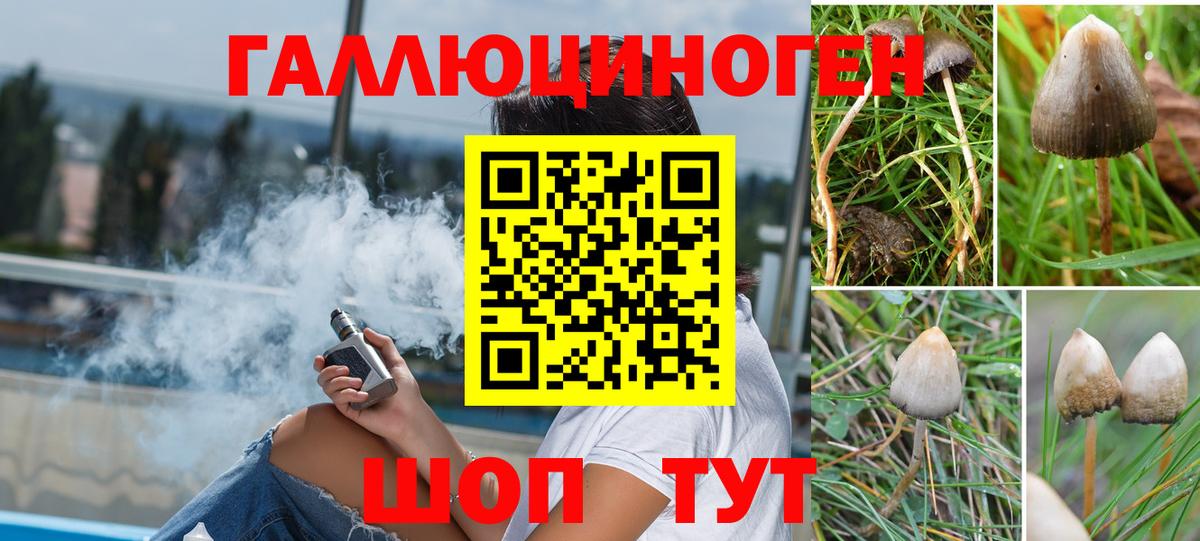 как найти закладки  Галлюциногенные грибы мицелий  Красноармейск  Вход с VPN  Псилоцибиновые грибы GOLDEN TEACHER 