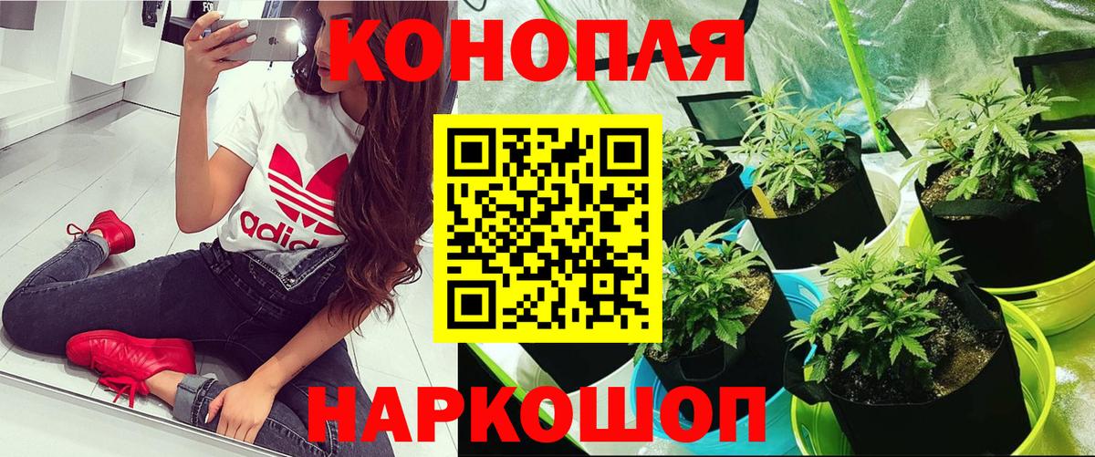 МАРИХУАНА планчик Красноармейск